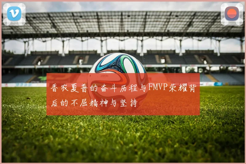 香农夏普的奋斗历程与FMVP荣耀背后的不屈精神与坚持