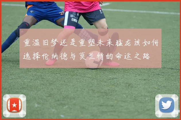 重温旧梦还是重塑未来猛龙该如何选择伦纳德与莫兰特的命运之路