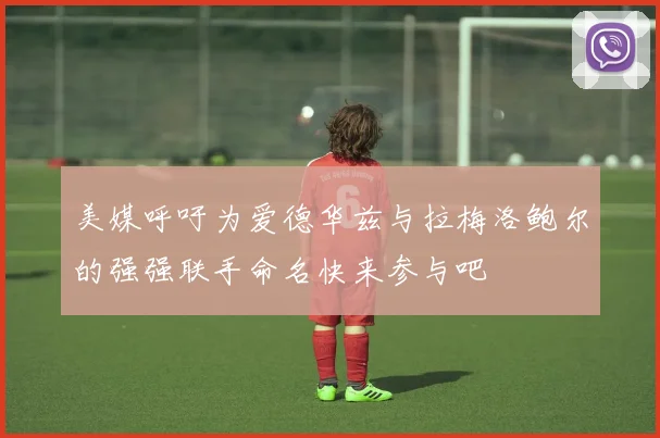 美媒呼吁为爱德华兹与拉梅洛鲍尔的强强联手命名快来参与吧